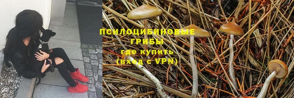 мет Гусиноозёрск