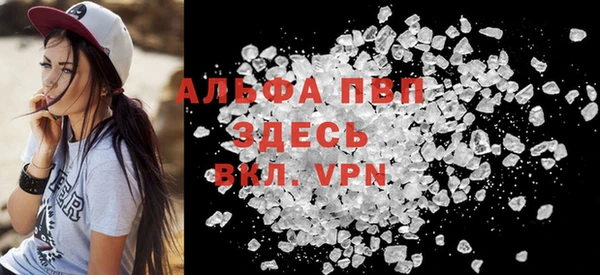 прущие грибы Горнозаводск
