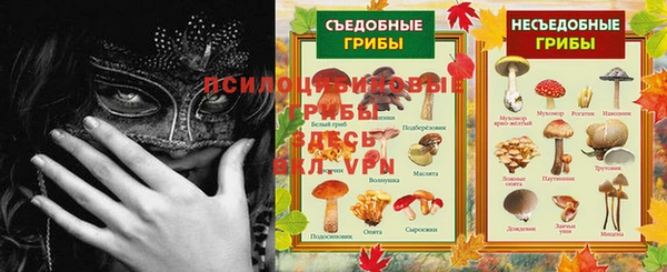 мет Гусиноозёрск