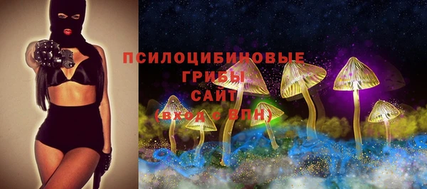 мет Гусиноозёрск