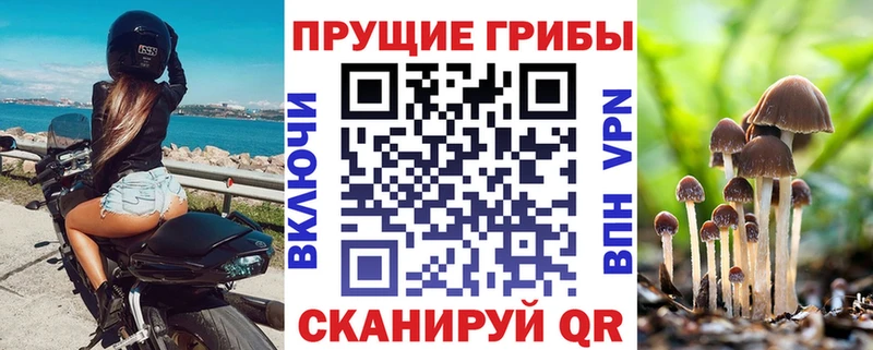 Галлюциногенные грибы ЛСД  Купить закладки  Калининск 